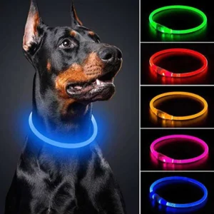 LED Pet Luminous Collar USB Charging Collar Teddy Charge Collar