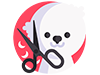 Pet Accessories