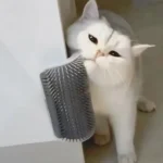 Self-Grooming Brush & Face Scratcher with Catnip